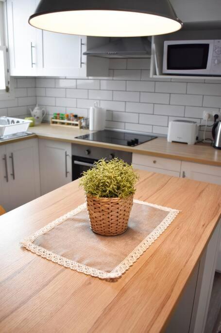 Departamento Centrico Para Disfrutar En Familia Sagunto Exteriér fotografie